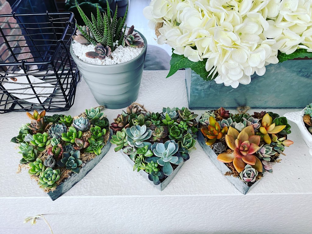 Sunshine Smiles Succulents | 1672 Carriage Cir, Vista, CA 92081, USA | Phone: (949) 278-7626