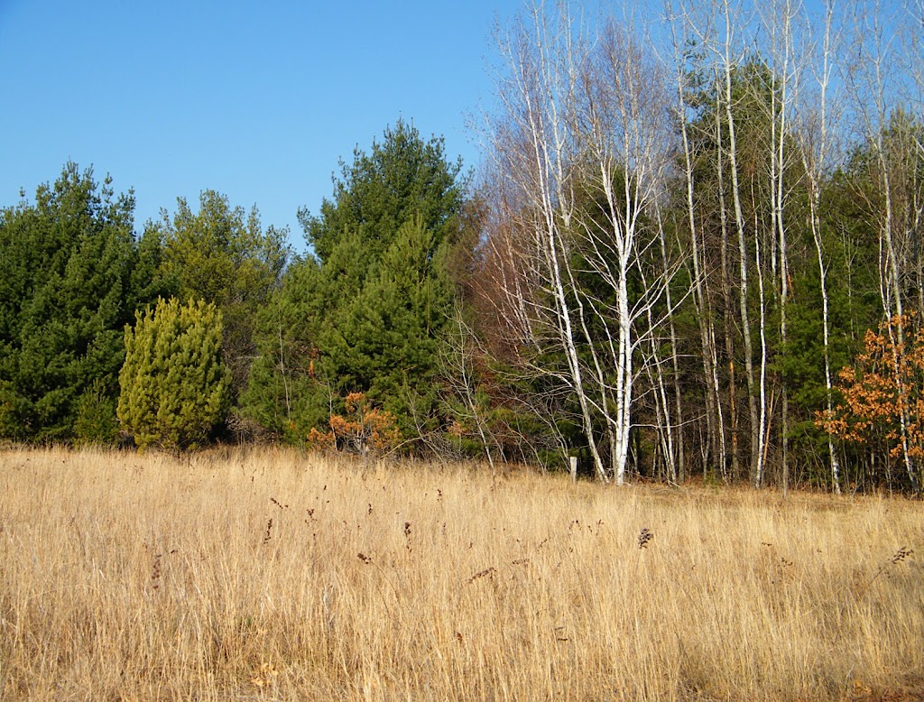 Coon Lake County Park | 5450 197th Ave NE, Columbus, MN 55025, USA | Phone: (763) 757-3920