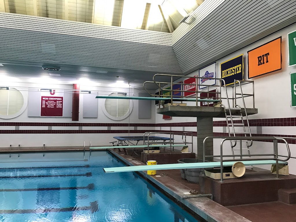 Full Out Dive Club | Alexander Ln, Schenectady, NY 12308, USA | Phone: (518) 649-6618