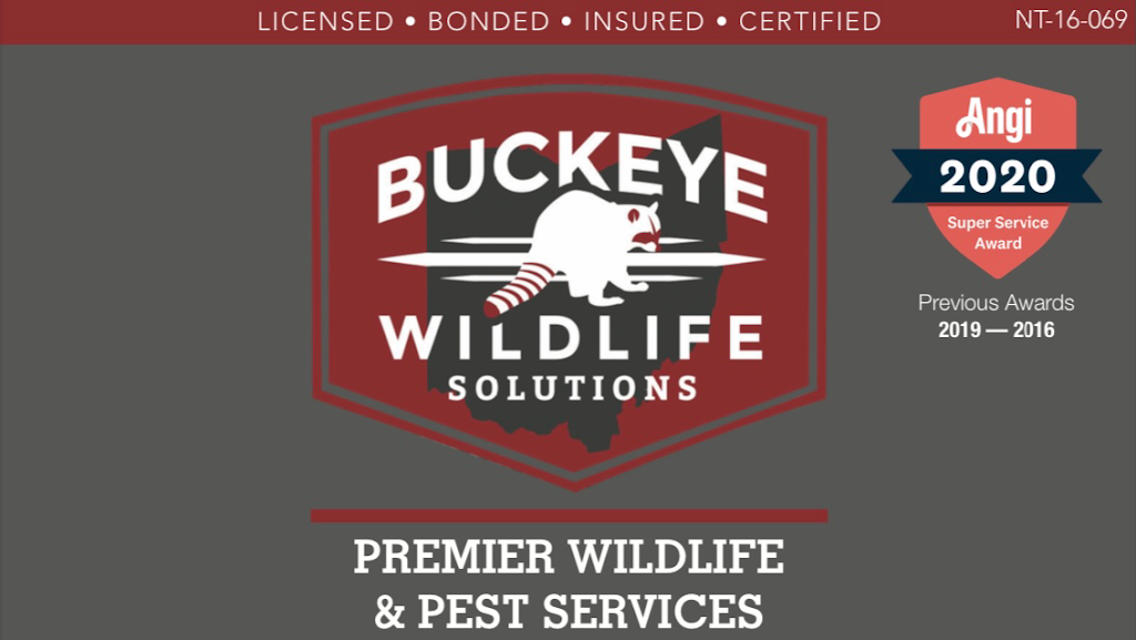 Buckeye Wildlife Solutions | 19 Gruber St, Delaware, OH 43015, USA | Phone: (419) 982-5502