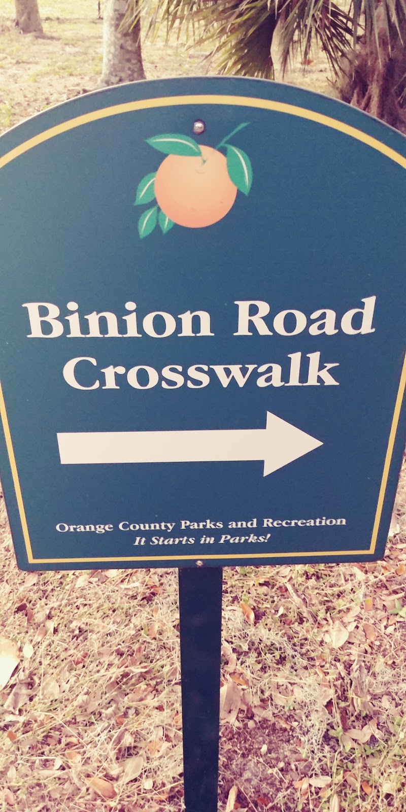 Magnolia Park Campground | 2929 S Binion Rd, Apopka, FL 32703, USA | Phone: (407) 886-4231