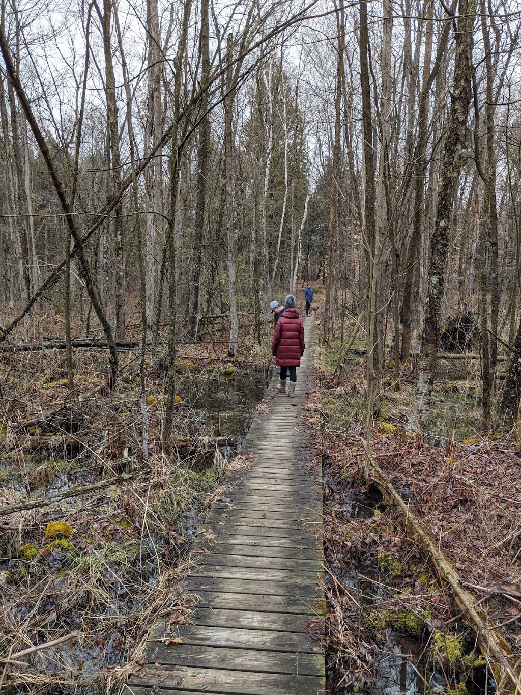 Jackson Marsh State Natural Area | West Bend, WI 53095, USA | Phone: (888) 936-7463