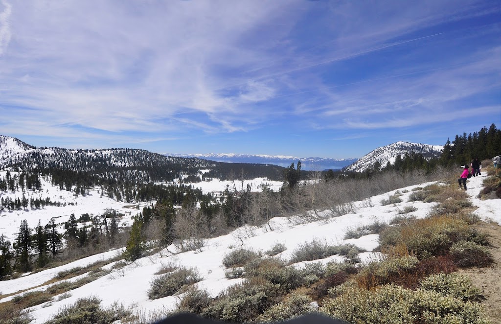 Mt. Rose Wilderness | Reno, NV 89511 | Phone: (775) 831-0914