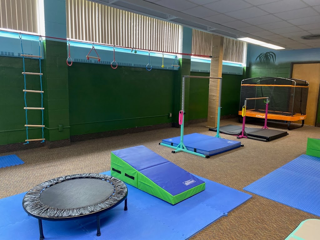 Jungle Gymnastics | 280 Andrews Ave, Center City, MN 55012, USA | Phone: (651) 239-9969