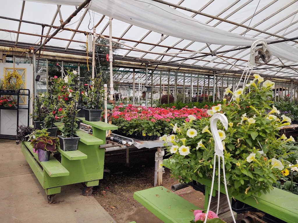 Old Brooklyn Greenhouse | 4646 W 11th St, Cleveland, OH 44109 | Phone: (216) 351-9338