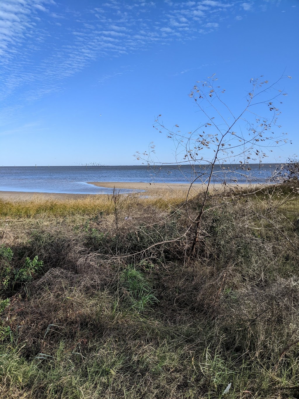 Buccaneer State Park | 1150 S Beach Blvd, Waveland, MS 39576, USA | Phone: (228) 467-3822