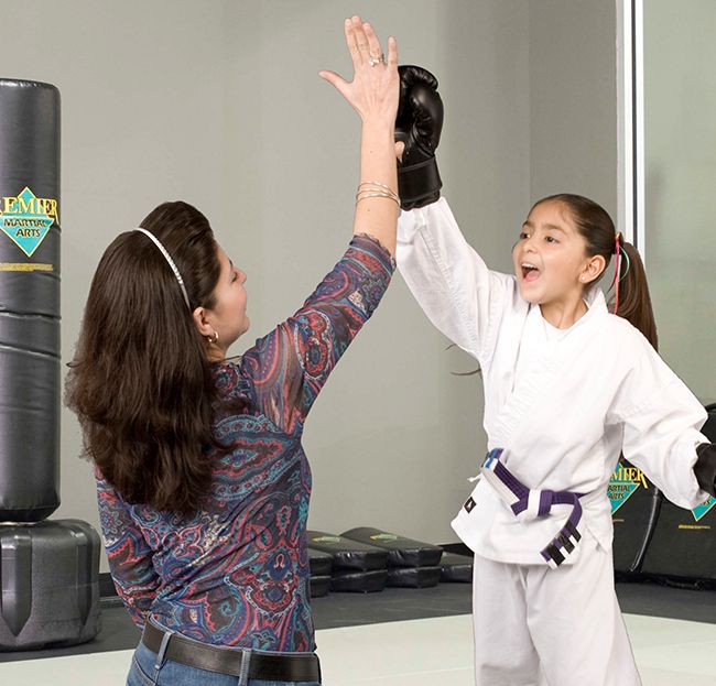 Premier Martial Arts | 8696 Elk Grove Blvd, Elk Grove, CA 95624, USA | Phone: (916) 714-9994