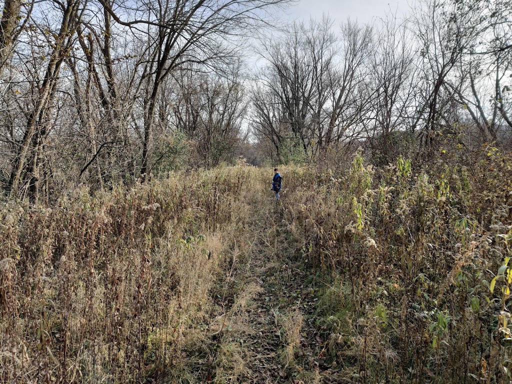 Cannon River Turtle Preserve Scientific and Natural Area (SNA) | Cannondale Rd, Red Wing, MN 55066, USA | Phone: (651) 259-5800