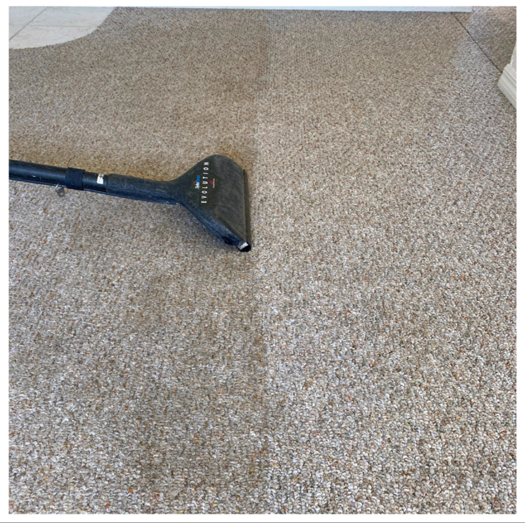 Precision Carpet - Tile & Upholstery | 2024 Hibiscus Dr, Edgewater, FL 32141, USA | Phone: (386) 756-1125