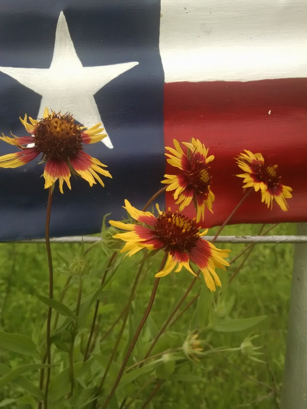 Tournament Targets Inc | 8813 Little Geronimo St, San Antonio, TX 78254, USA | Phone: (210) 688-6200 Tournament Targets Inc | 8813 Little Geronimo St, San Antonio, TX 78254, USA | Phone: (210) 688-6200