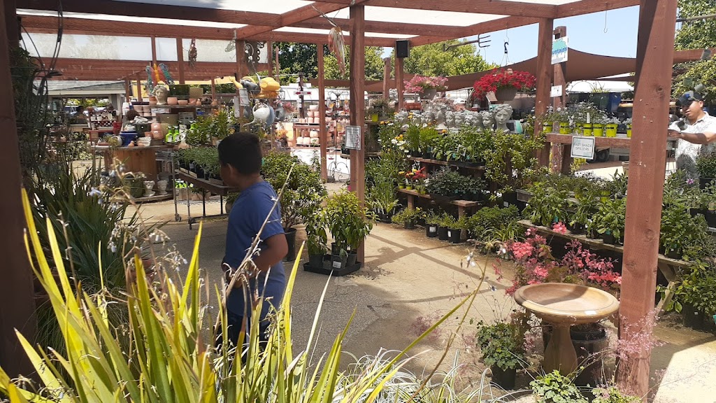 The Secret Garden | 8450 W Stockton Blvd, Elk Grove, CA 95758, USA | Phone: (916) 682-6839