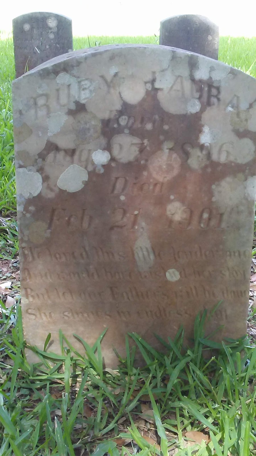 Brown Beard grave site | 5904 C W Cumings Rd, Needville, TX 77461, USA | Phone: (254) 289-2278