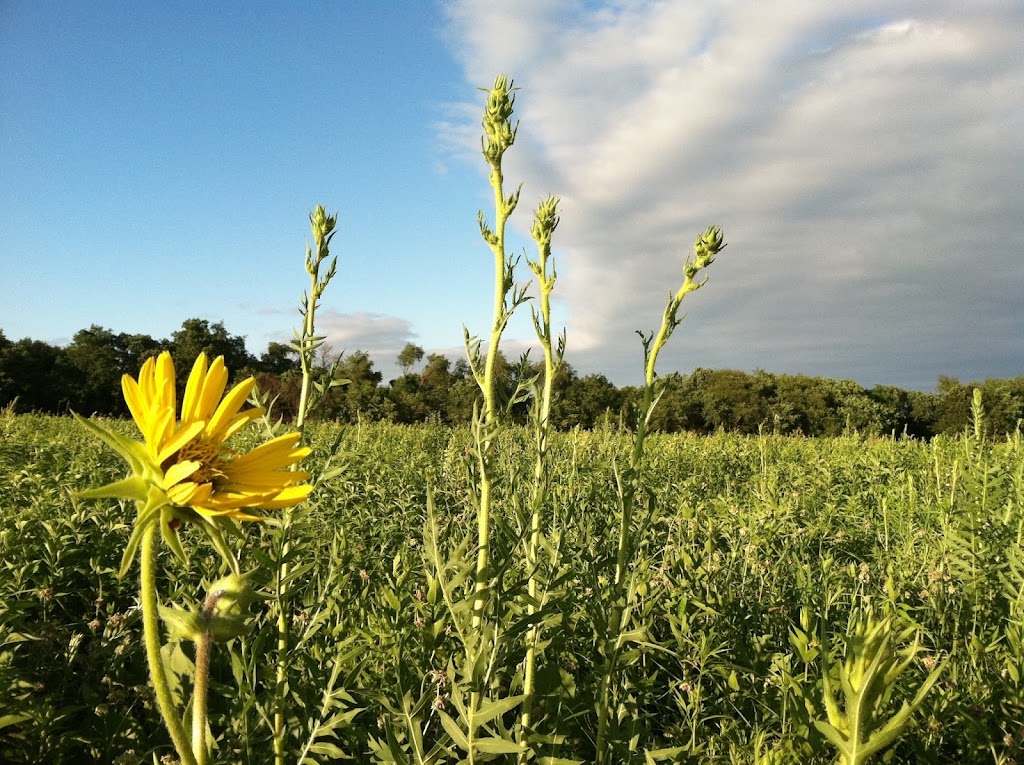 The Nature Institute | 2213 S Levis Ln, Godfrey, IL 62035, USA | Phone: (618) 466-9930