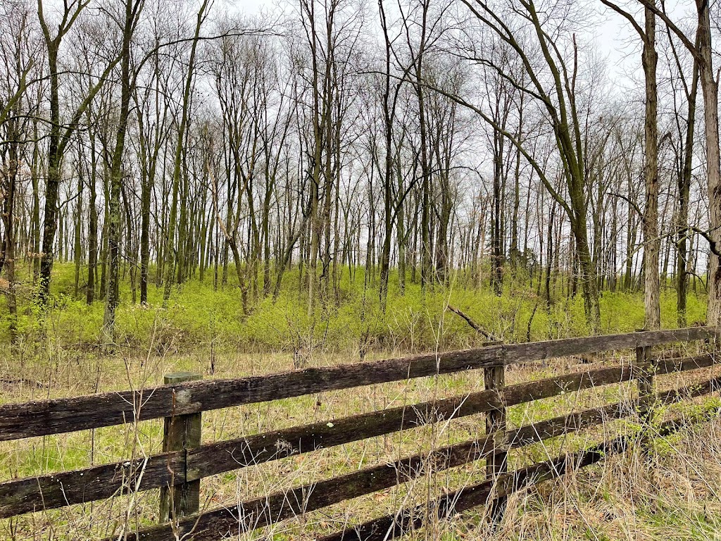 Todd Fork Nature Preserve | 1703 Co Rd 3, Wilmington, OH 45177, USA | Phone: (513) 752-2828
