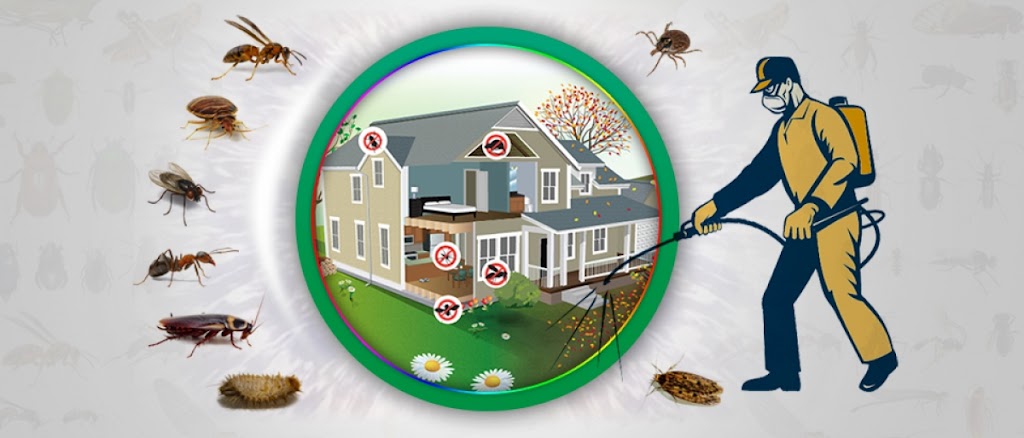 Advance Pest Control Services | 143-15 115th Ave, Queens, NY 11436, USA | Phone: (646) 251-6973