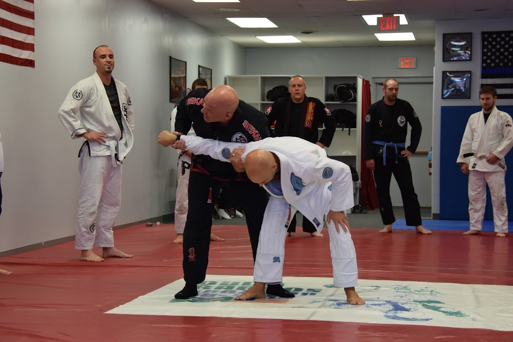 GT Brazilian Jiu-Jitsu Academy | 51 Southeast Ave, Tallmadge, OH 44278, USA | Phone: (330) 294-2600