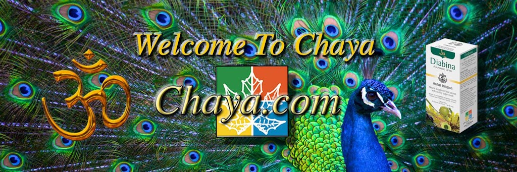 Chaya | San Marcos, CA 92078, USA | Phone: (760) 847-4902
