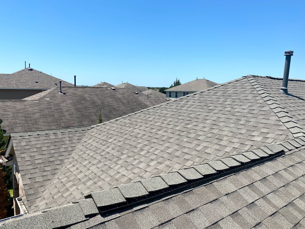 Zane Ptolemy - Birdcreek Roofing | 1113 Stillwell Ridge, Cedar Park, TX 78613, USA | Phone: (737) 444-7818