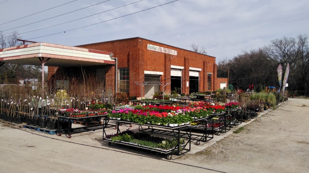 Springtown Garden Center | 236 W Hwy 199, Springtown, TX 76082, USA | Phone: (817) 523-4700