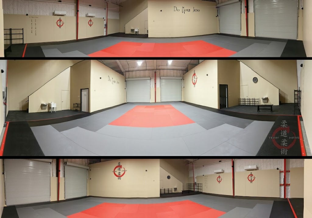 Team Haas Judo Jiu-Jitsu | 17005 Joe Barbee Dr Suite 500, Round Rock, TX 78664, USA | Phone: (512) 970-7742