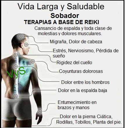 Sobador . Fisioterapeuta | Plaza Latina Bazaar local #G2A, 11200 Harry Hines Blvd, Dallas, TX 75229, USA | Phone: (469) 251-6140