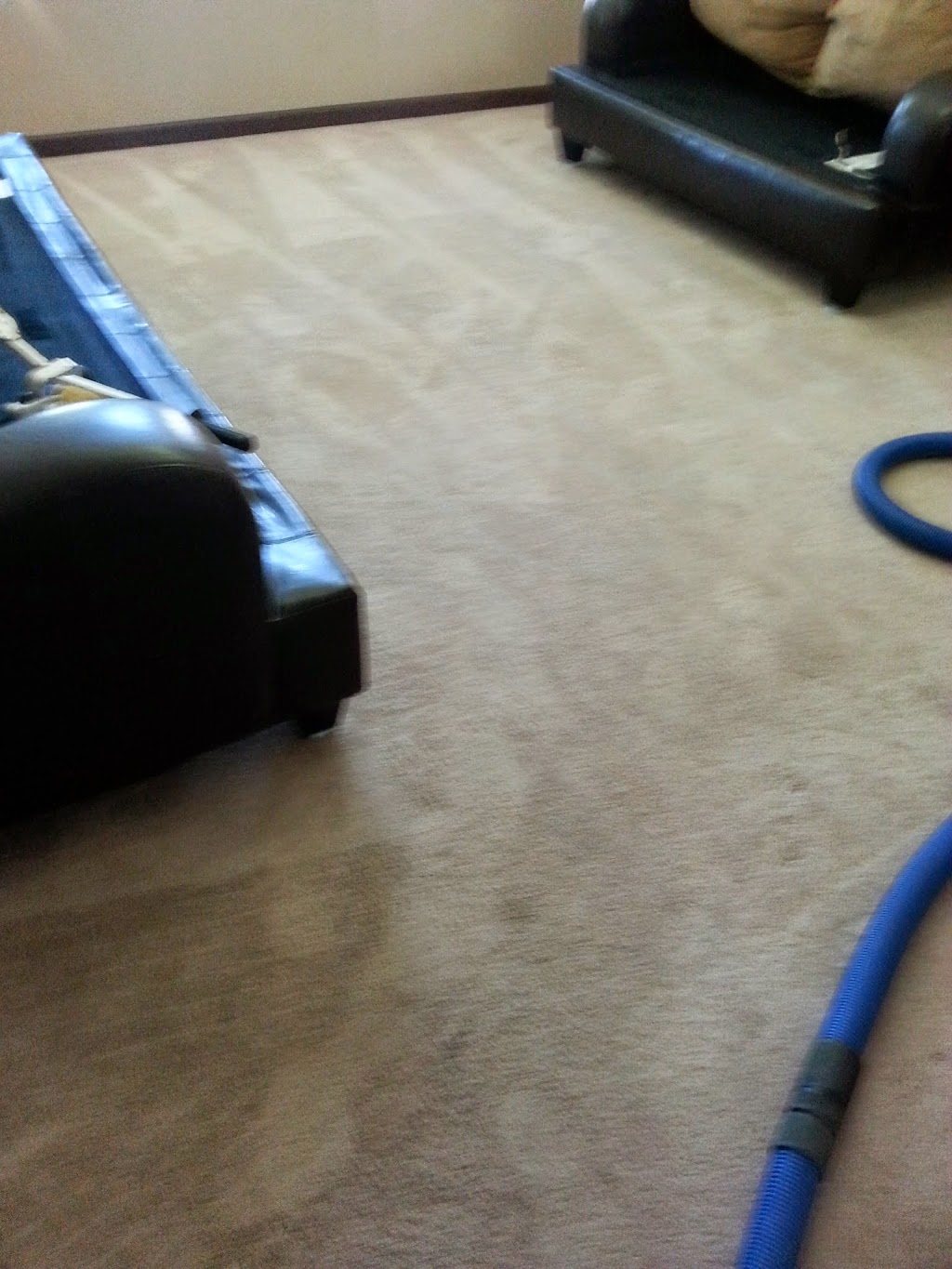 procare carpet and tile cleaning | 224 Eagle Ct, Modesto, CA 95350, USA | Phone: (209) 523-2273