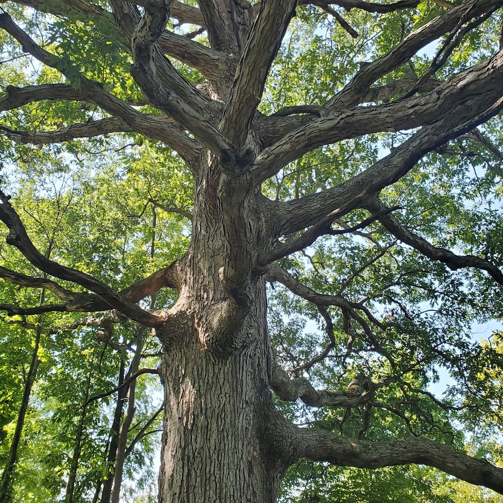 Hathaway Preserve At Ross Run - ACRES Land Trust | 1866 E Baumbauer Rd, Wabash, IN 46992, USA | Phone: (260) 637-2273