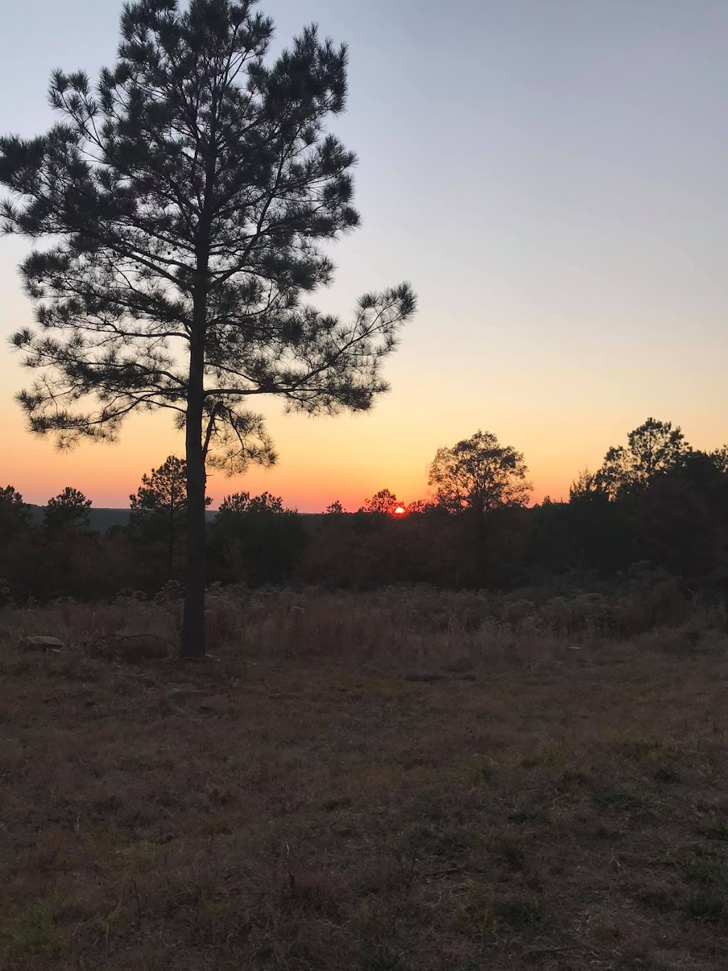 Chase McCage/Fathom Realty | 20439 Tabler Rd, Thackerville, OK 73459, USA | Phone: (405) 318-6396