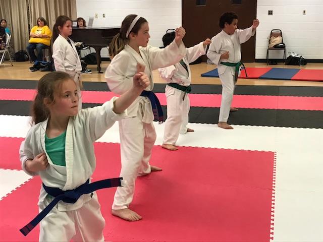 Keith Jones Karate | 197 Imperial Blvd, Hendersonville, TN 37075, USA | Phone: (615) 824-3973