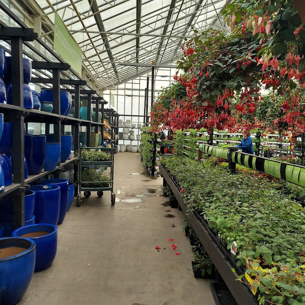 Watsons Greenhouse and Nursery | 6211 Pioneer Way E, Puyallup, WA 98371, USA | Phone: (253) 845-7359