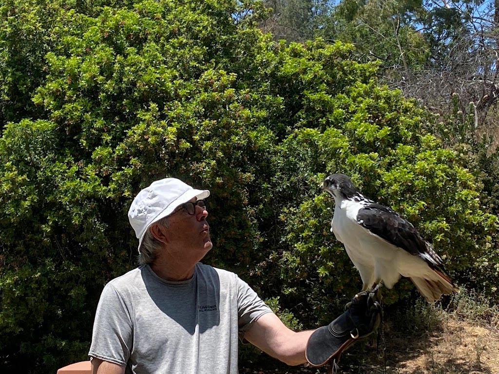 Hawk On Hand Falconry | 4235 Monterey Rd, Los Angeles, CA 90032, USA | Phone: (845) 532-5401