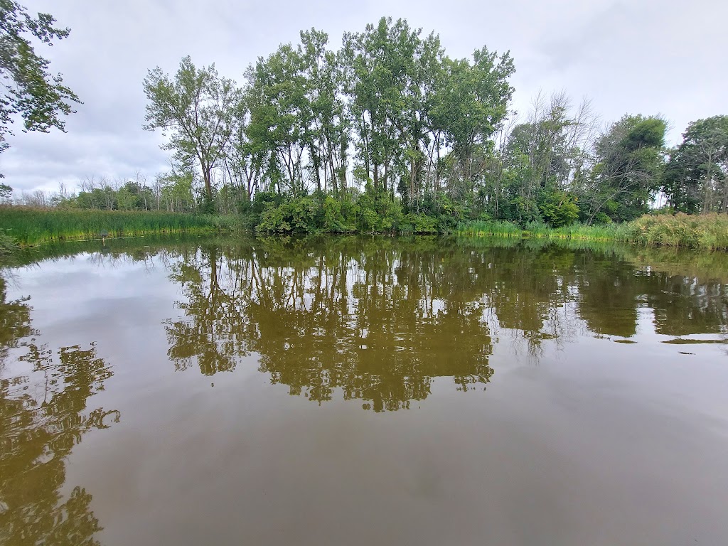 Iroquois National Wildlife Refuge Visitor Center | 1101 Casey Rd, Alabama, NY 14013, USA | Phone: (585) 948-7038