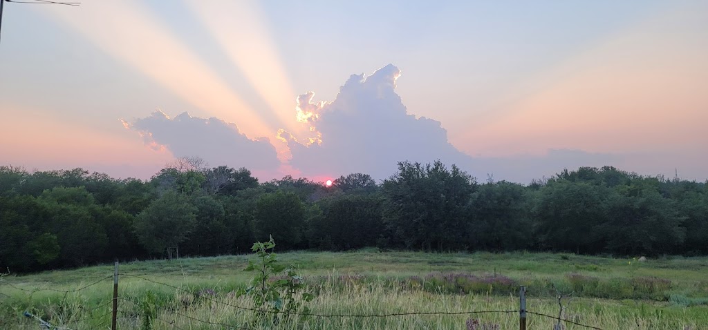 Somervell County Library | 108 Allen Dr, Glen Rose, TX 76043, USA | Phone: (254) 897-4582