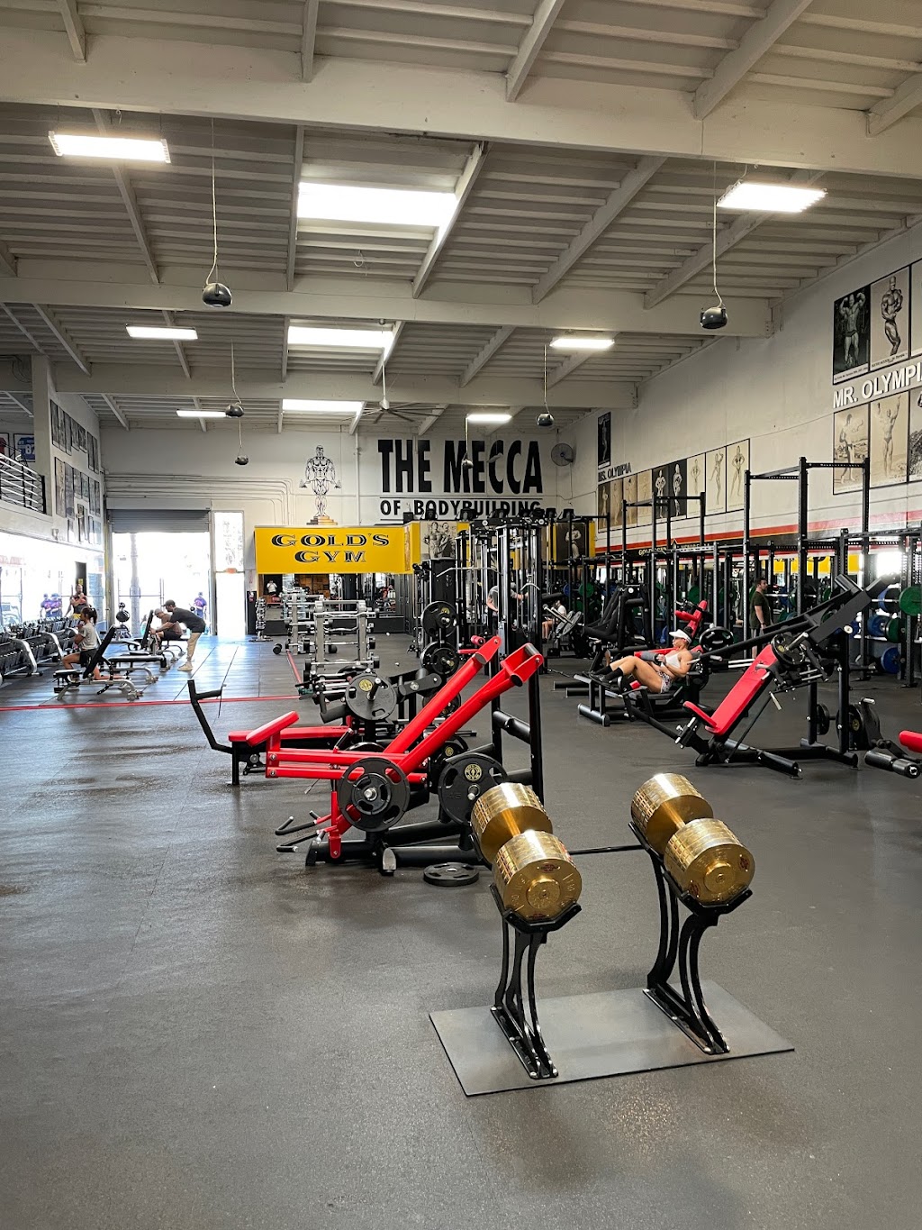 Golds Gym Venice | 360 Hampton Dr, Venice, CA 90291, USA | Phone: (310) 392-6004