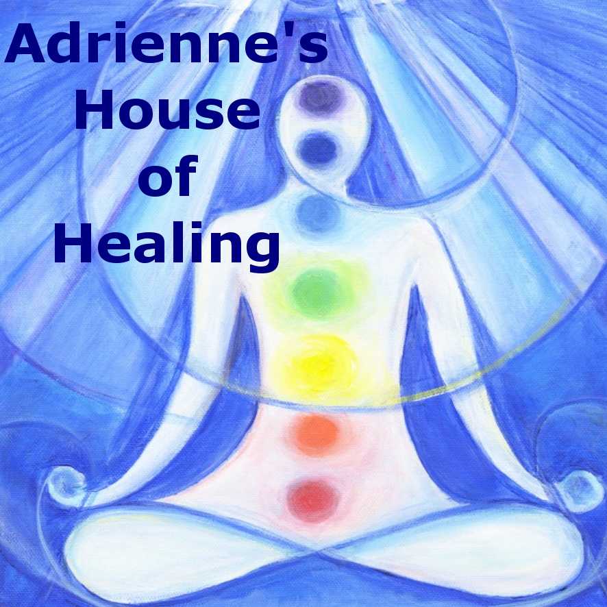 Adriennes Acupuncture and Healing | 8788 State Road 70 E Suite 101, Bradenton, FL 34202 | Phone: (941) 350-1014