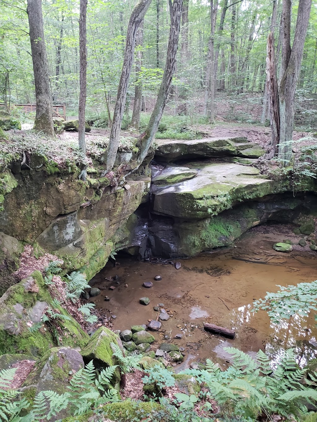 The West Woods | 9465 Kinsman Rd, Novelty, OH 44072, USA | Phone: (440) 286-9516