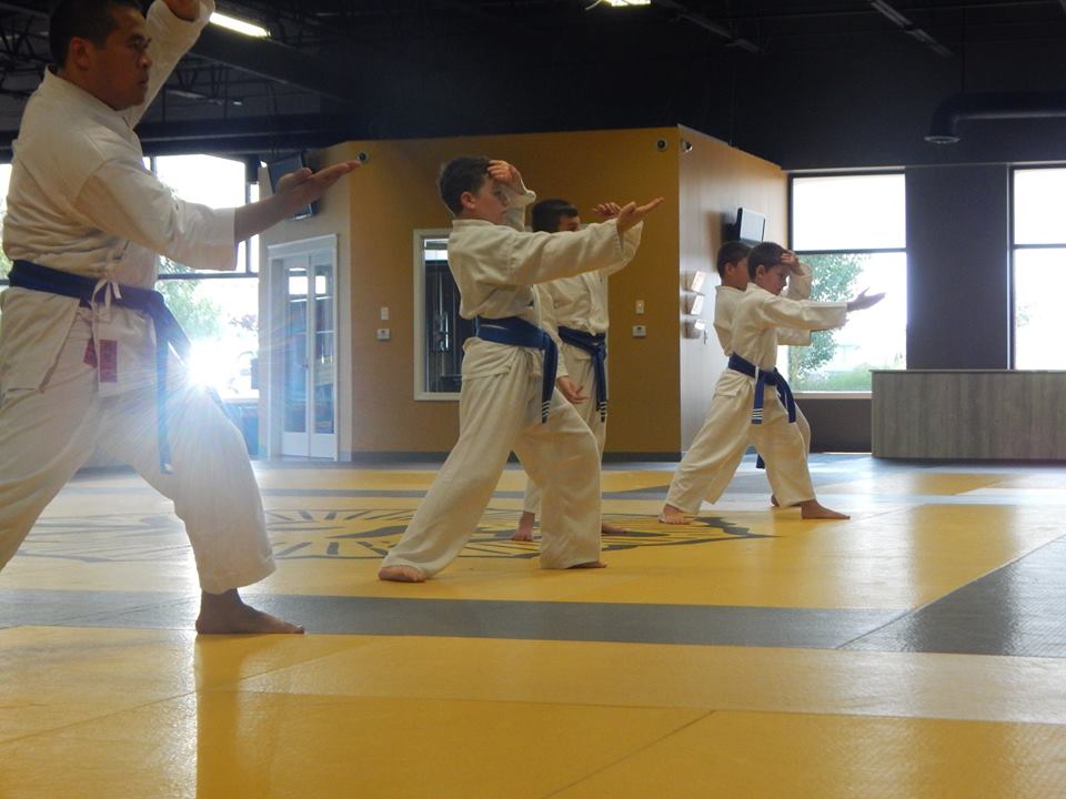 Butoku Karate Dojo | 48884 Romeo Plank Rd, Macomb, MI 48044, USA | Phone: (586) 416-3656