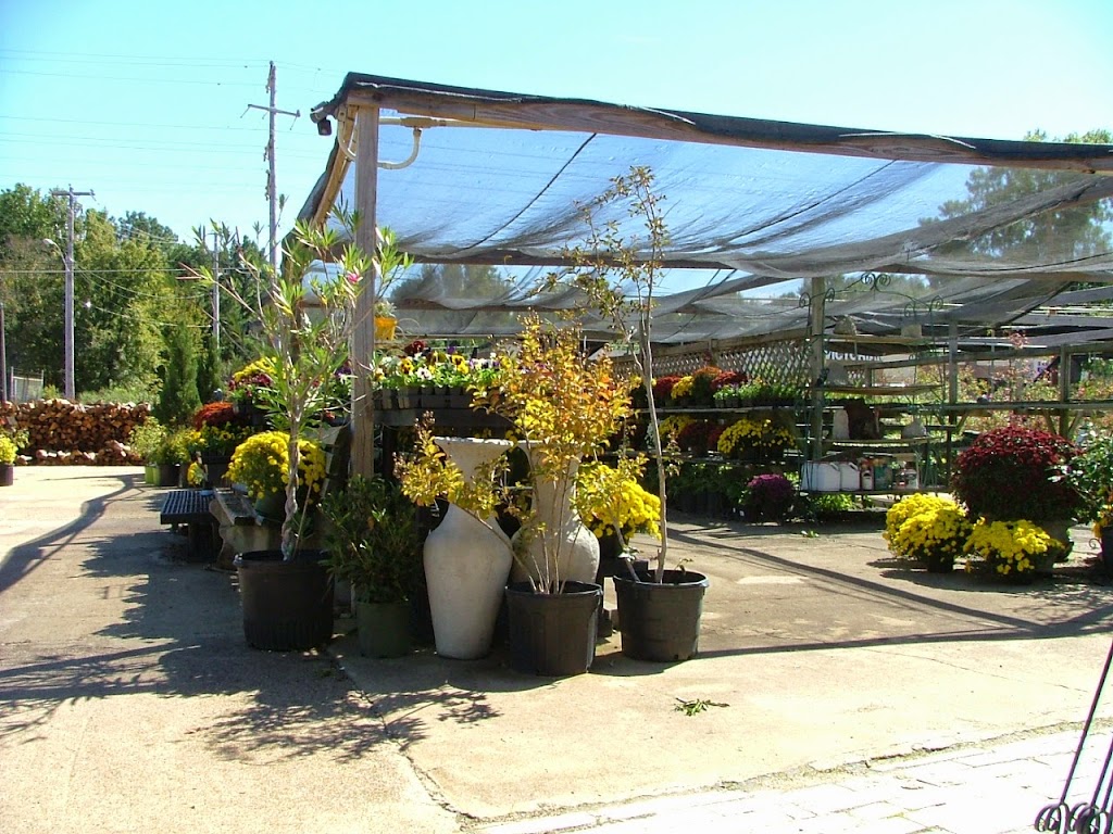 Giarolis Nursery & Landscaping | 6000 Summer Ave, Memphis, TN 38134, USA | Phone: (901) 382-5402