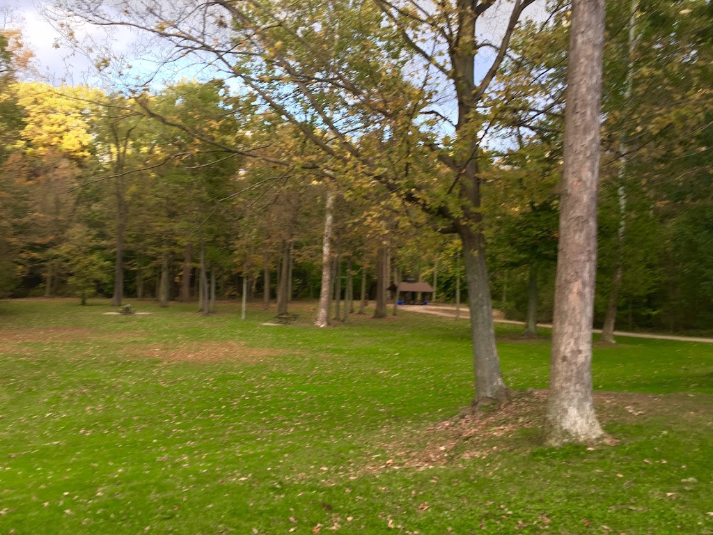 Maple Grove Picnic Area | Valley Pkwy, Brook Park, OH 44142, USA | Phone: (216) 635-3200