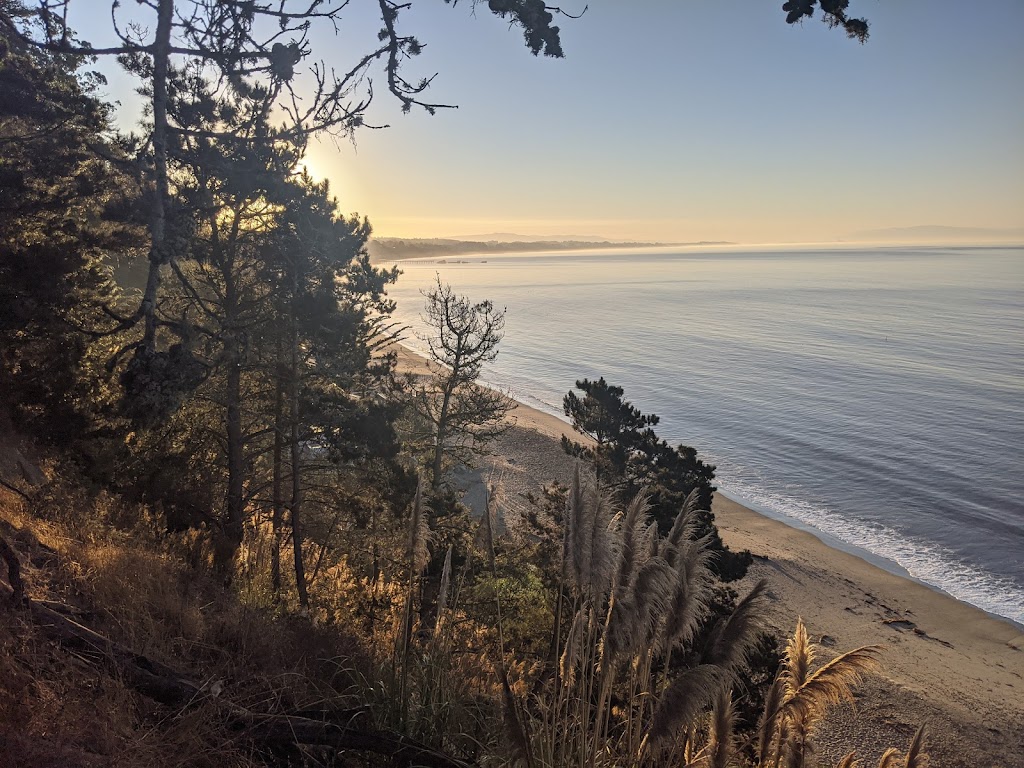 New Brighton State Beach | 1500 Park Ave, Capitola, CA 95010, USA | Phone: (831) 464-6329