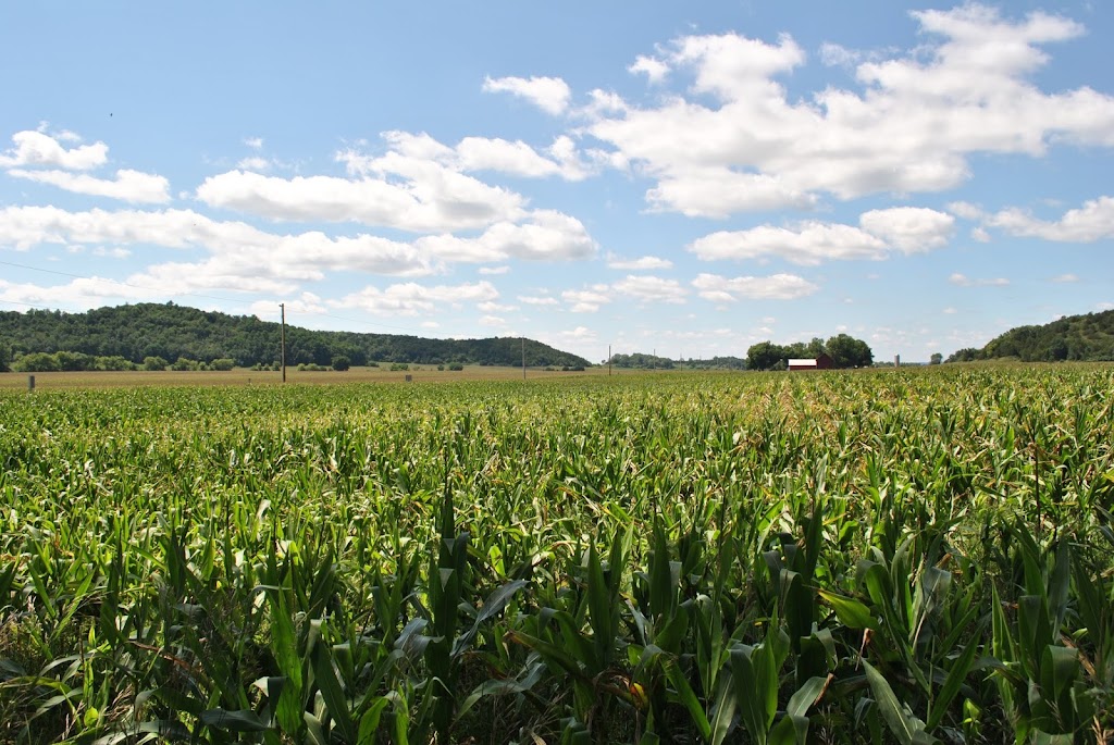 Halfway Prairie School | Halfway Prarie Schoolhouse, 9770 WI-19, Mazomanie, WI 53560, USA | Phone: (608) 224-3730