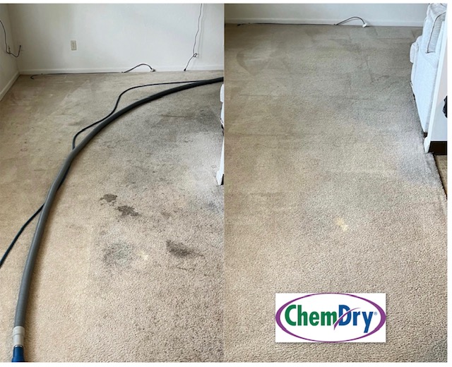 Chem-Dry by Kevin Jones | 1601 Country Club Rd, Indianapolis, IN 46234 | Phone: (317) 273-9814