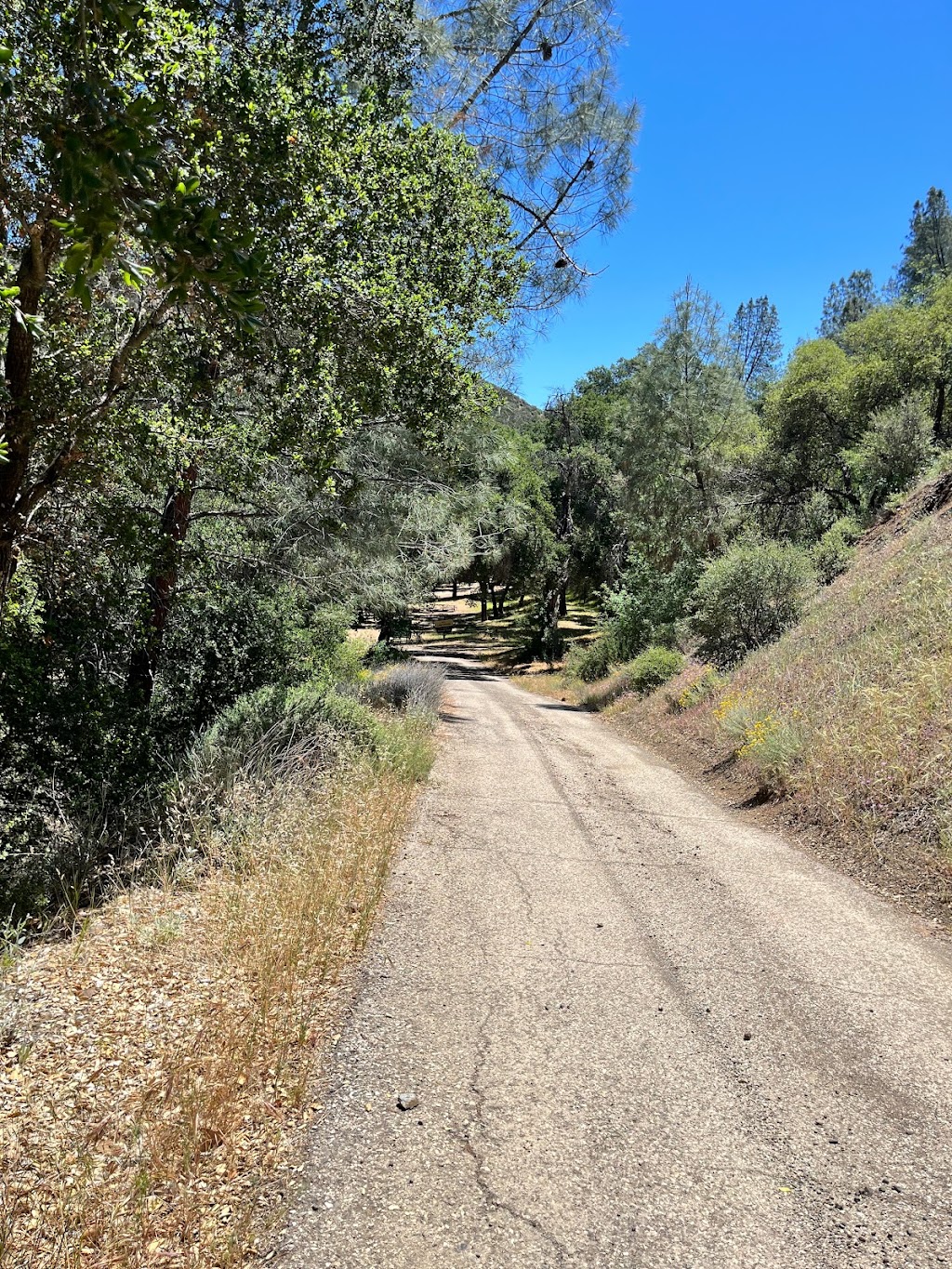 Nira Campground | Sunset Valley Rd, Los Olivos, CA 93441, USA | Phone: (805) 434-1996