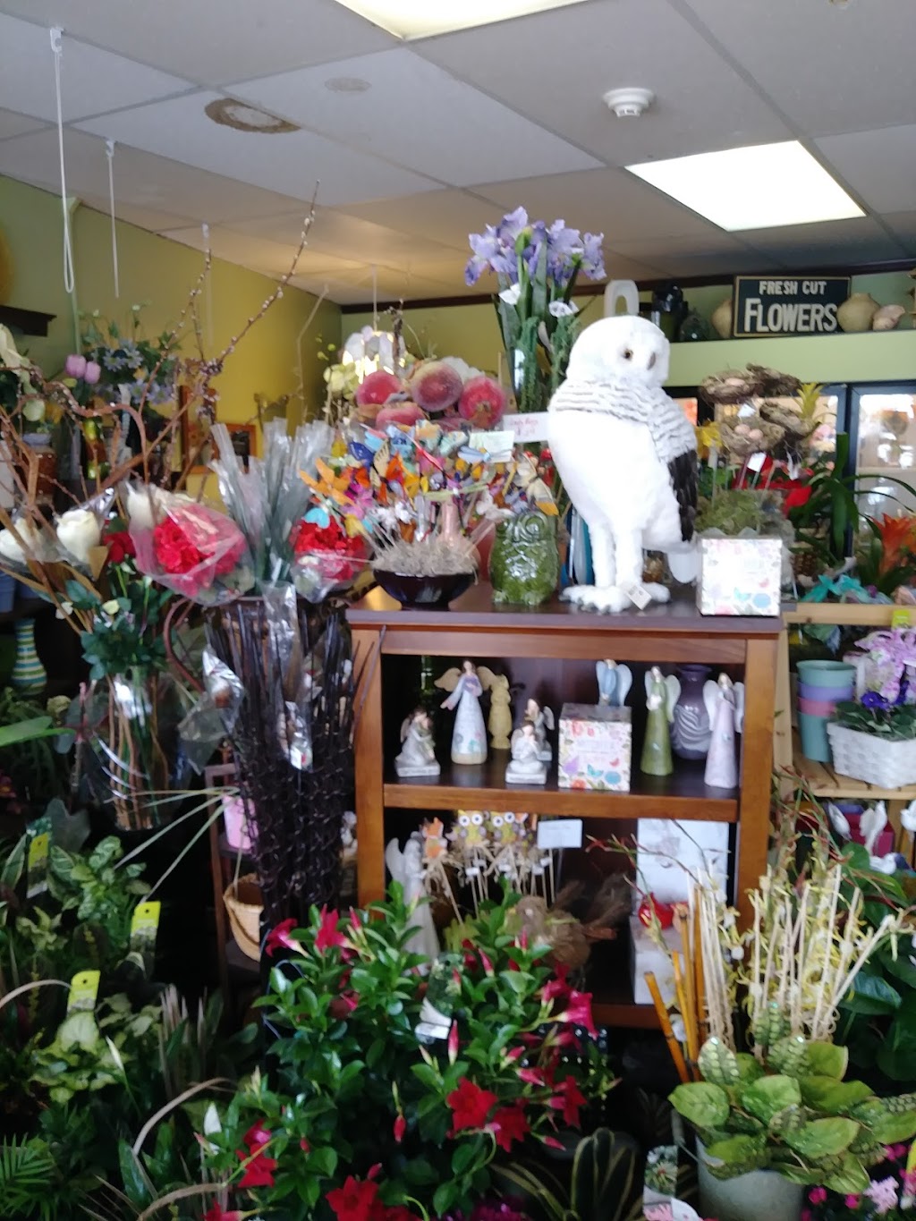 North Port Natural Florist | 13632 Tamiami Trl, North Port, FL 34287, USA | Phone: (941) 426-1197