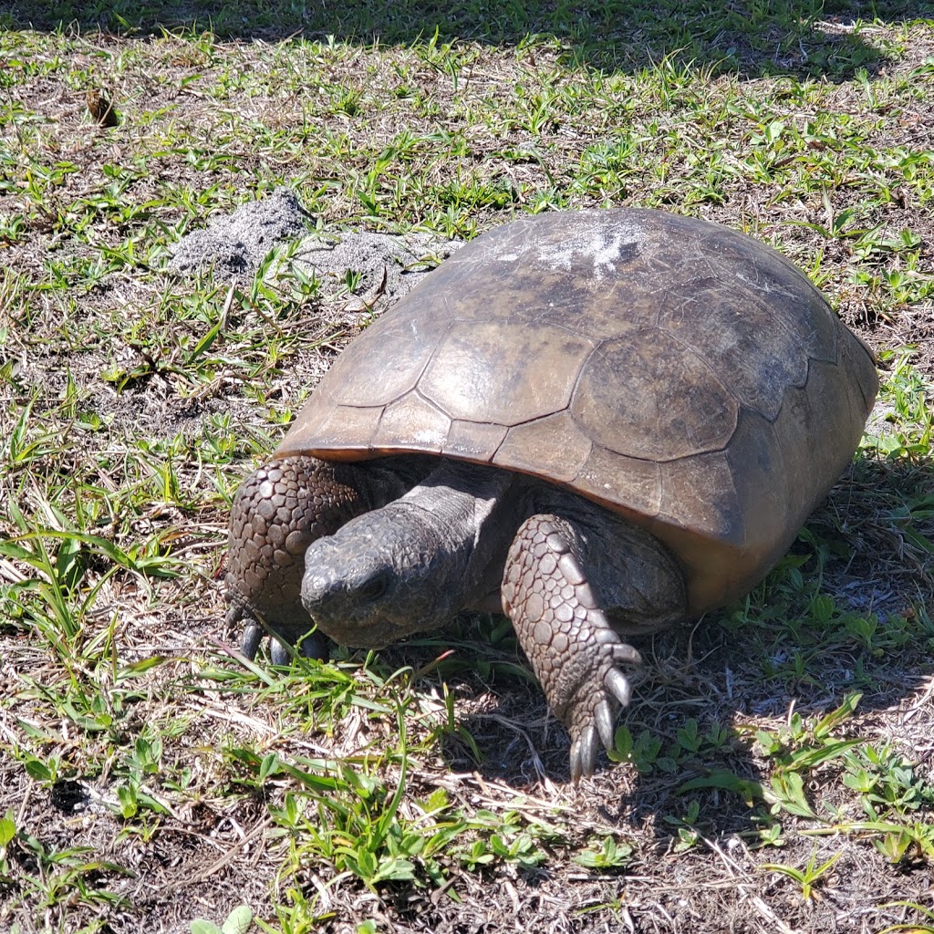 Egmont Key National Wildlife Refuge | St. Petersburg, FL 33715 | Phone: (352) 563-2088