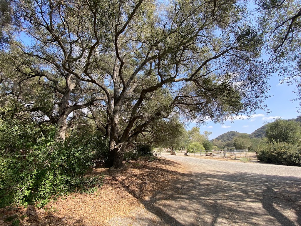 Starr Mesa Equestrian Campground at Caspers Wilderness Park | 33401 Ortega Hwy., San Juan Capistrano, CA 92675, USA | Phone: (949) 923-2210