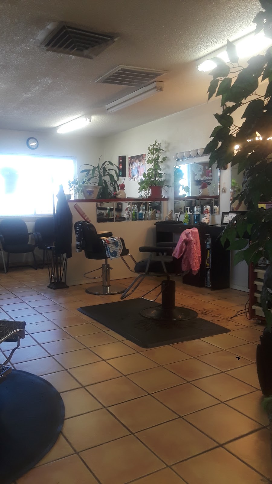 Smooth Cuts | 209 W Washington St, Anthony, TX 79821, USA | Phone: (915) 999-9189