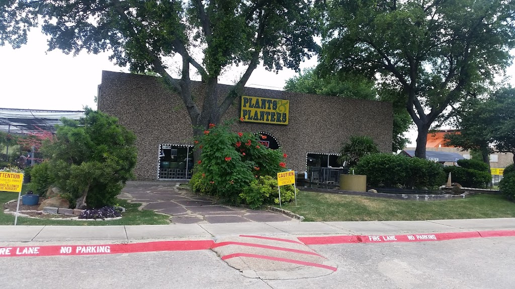 Plants & Planters | 1050 N Greenville Ave, Richardson, TX 75081 | Phone: (972) 699-1281