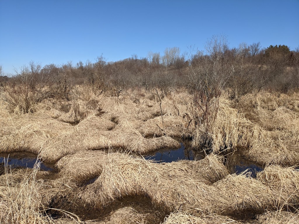 Whitetail Woods Regional Park | 17100 Station Trail, Farmington, MN 55024, USA | Phone: (952) 891-7000