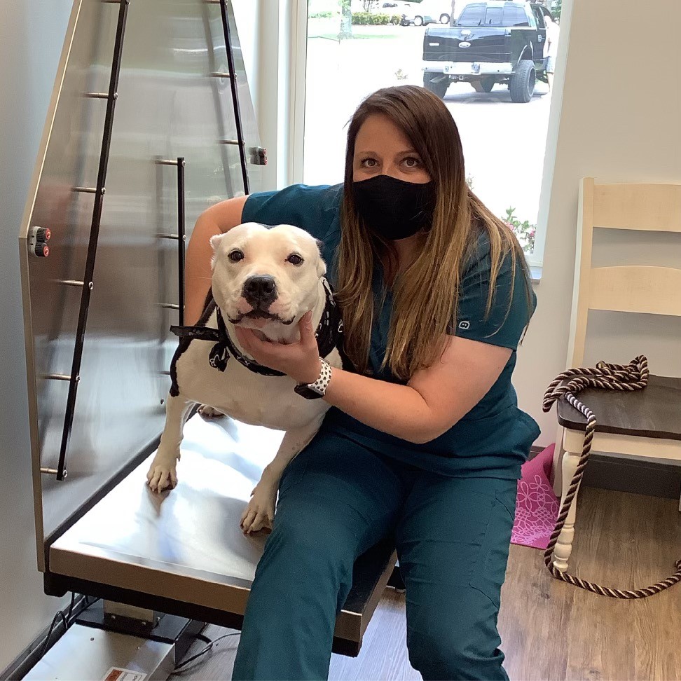 Healing Paws Animal Hospital | 900 Collierville Arlington Rd, Collierville, TN 38017, USA | Phone: (901) 446-4620